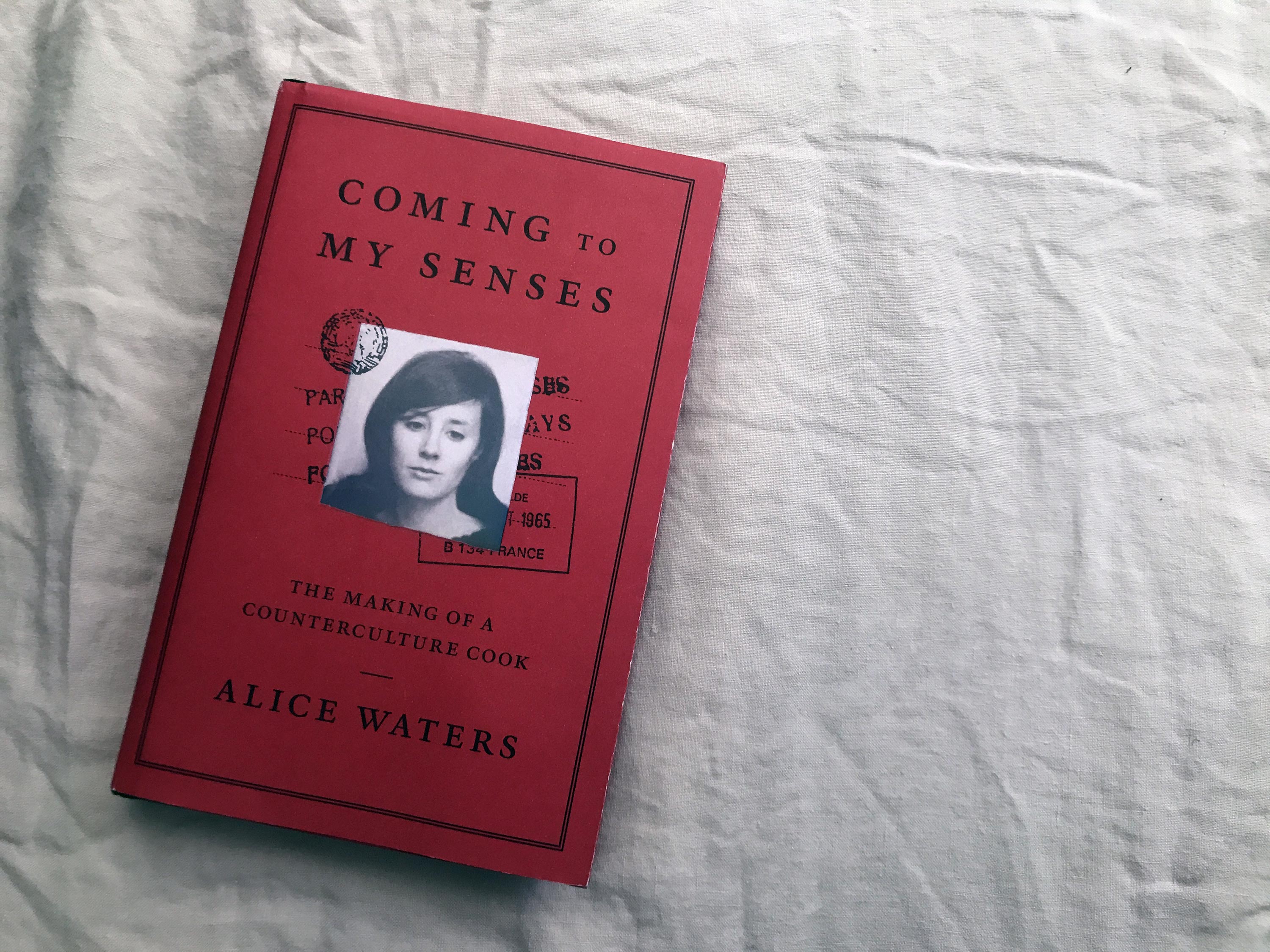 Read IN BED Coming to my Senses by Alice Waters IN BED USA